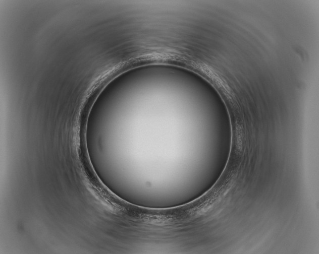 X0000111590486200907231217