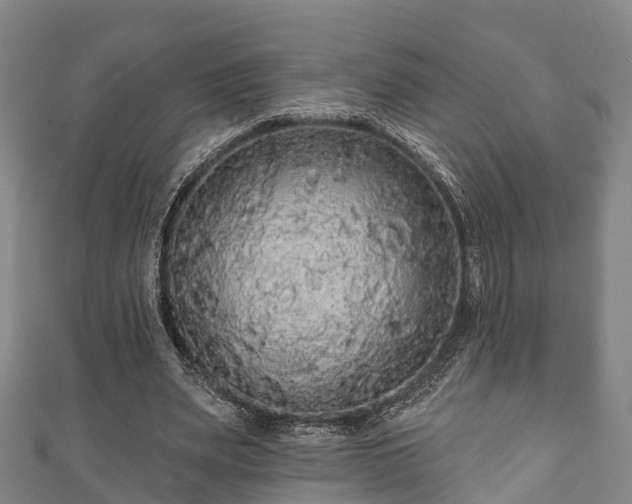 X0000111590487200907231217