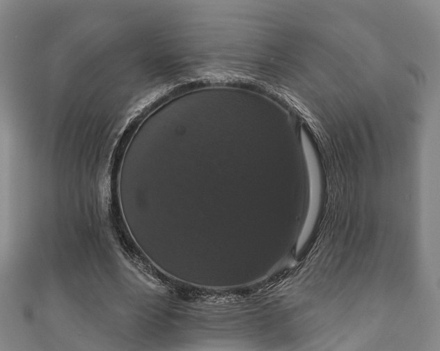 X0000111590488200907231217