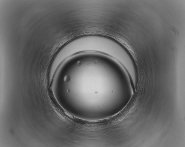 X0000111590489200907231217