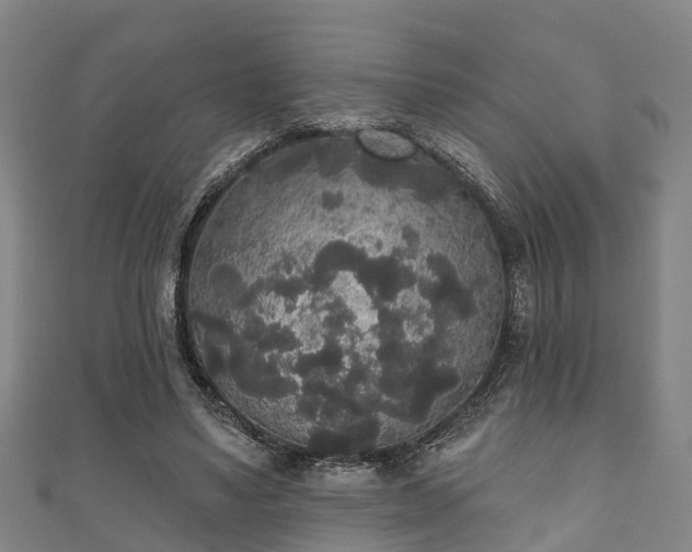 X0000111590491200907231217