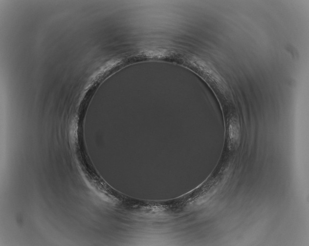 X0000111590492200907231217