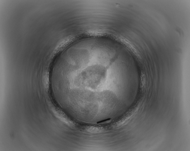 X0000111590494200907231217