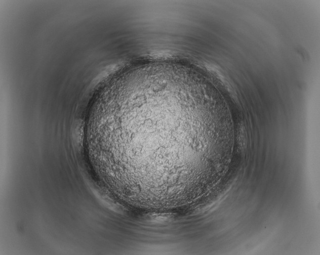 X0000111590495200907231217