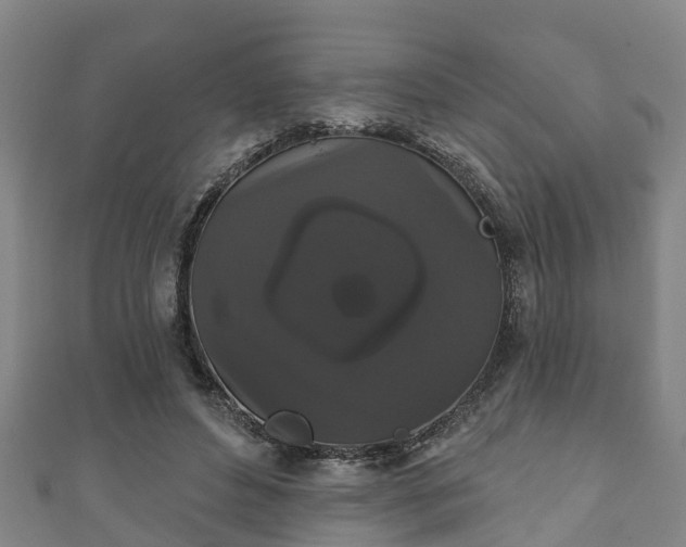 X0000111590496200907231217