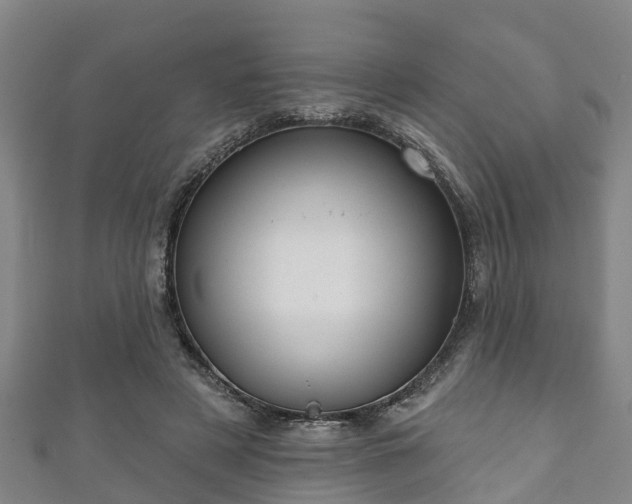 X0000111590497200907231217