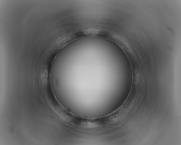 X0000111590498200907231217