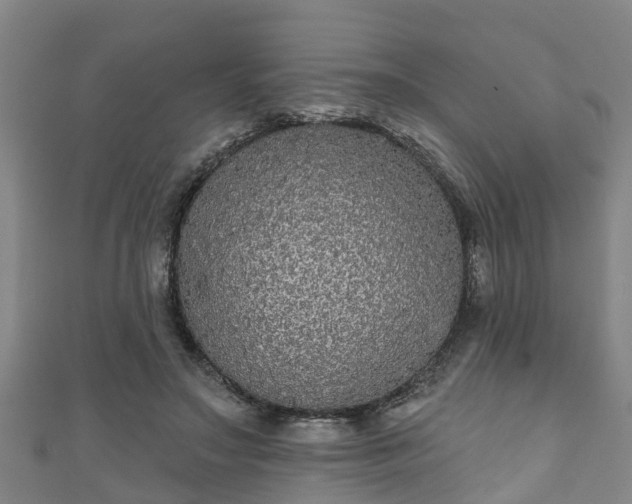 X0000111590499200907231217