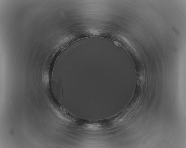 X0000111590500200907231217