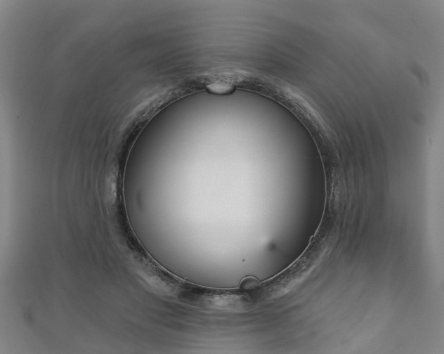 X0000111590501200907231217