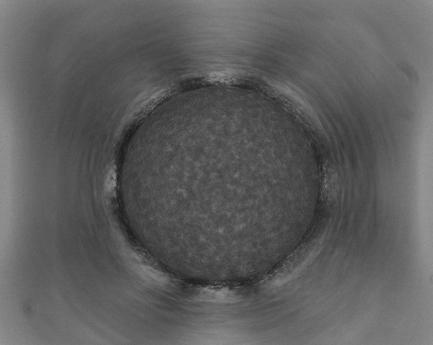 X0000111590502200907231217