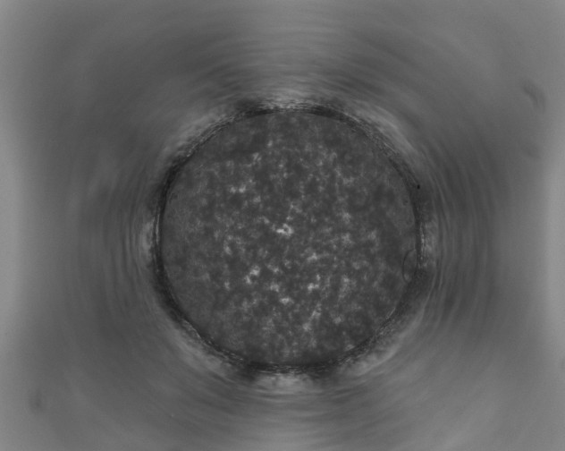 X0000111590503200907231217