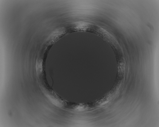 X0000111590504200907231217