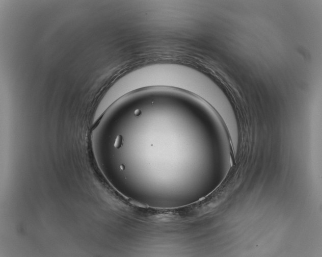 X0000111590505200907231217