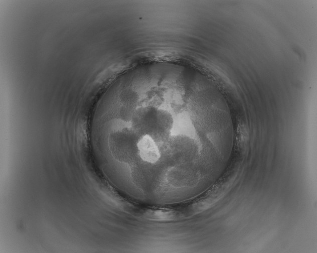 X0000111590506200907231217