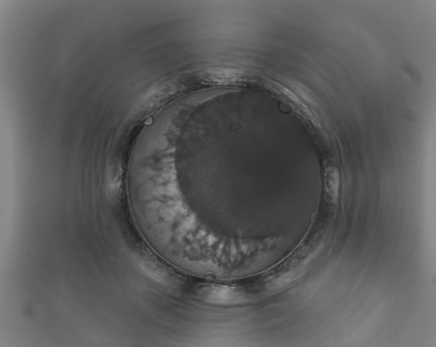 X0000111590507200907231217