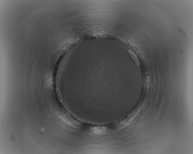 X0000111590508200907231217