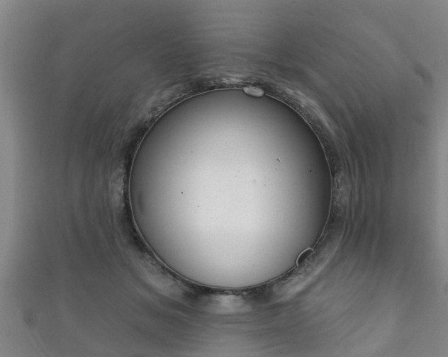 X0000111590509200907231217