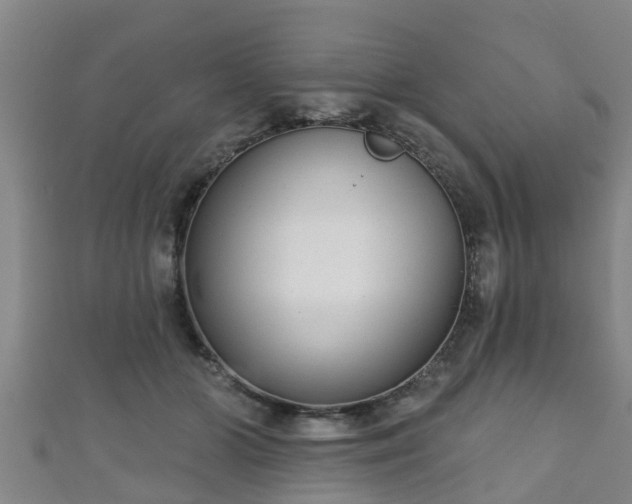 X0000111590510200907231217