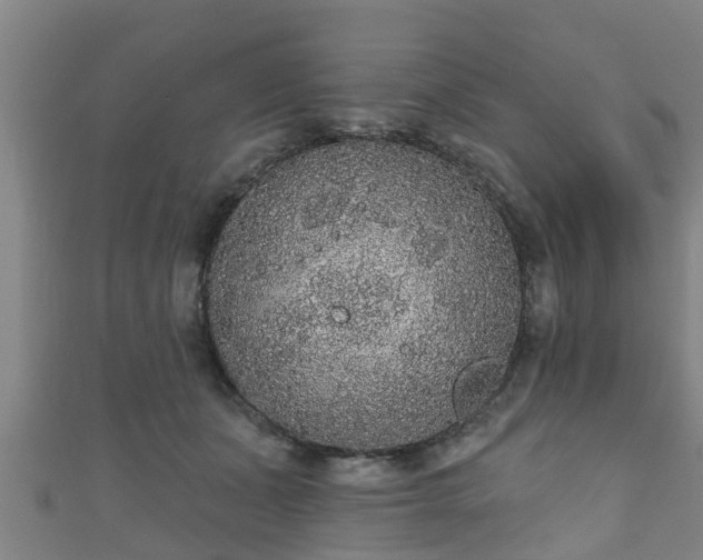 X0000111590511200907231217