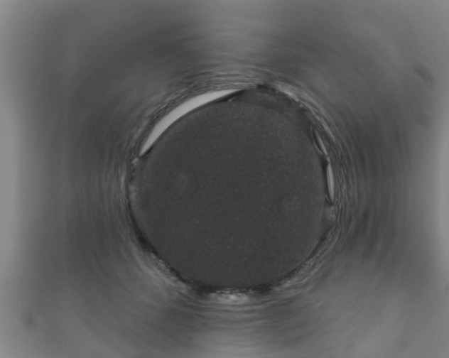 X0000111590512200907231217