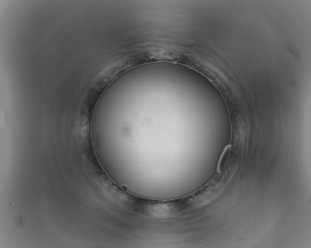 X0000111590513200907231217