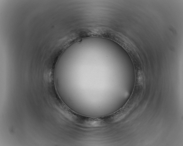 X0000111590514200907231217