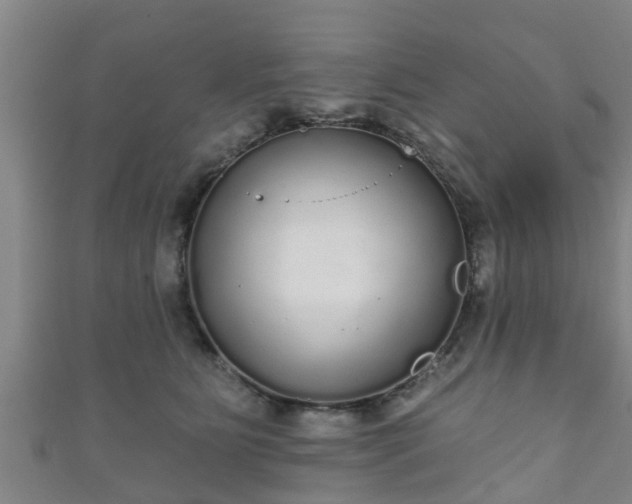 X0000111590515200907231217