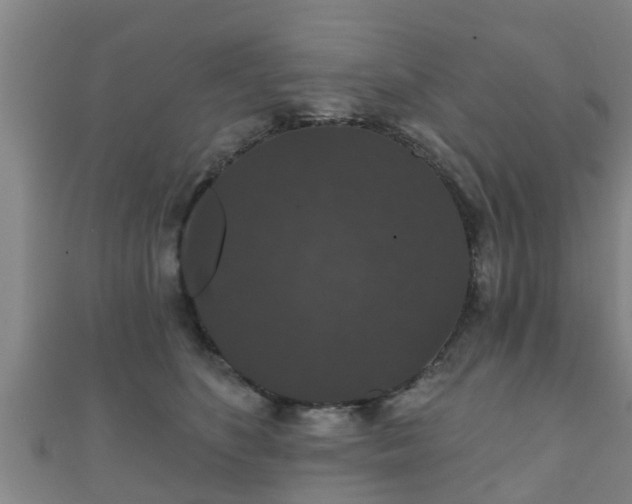 X0000111590516200907231217