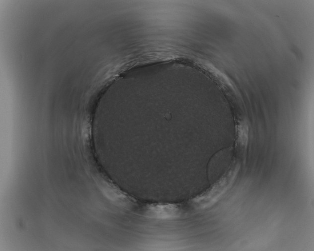 X0000111590517200907231217