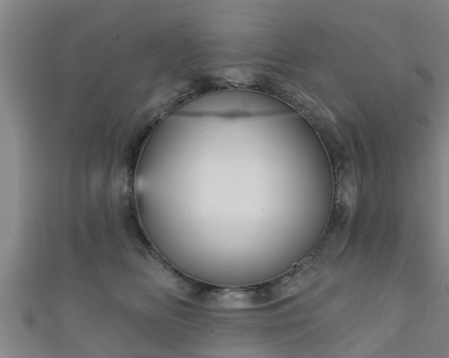 X0000111590518200907231217