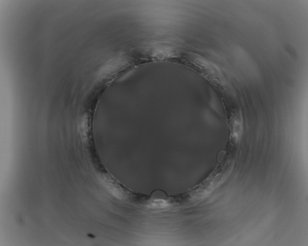 X0000111590519200907231217