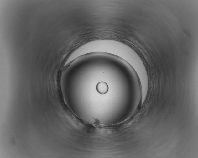 X0000111590520200907231217