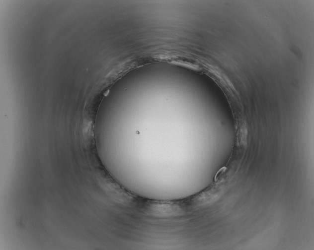 X0000111590521200907231217