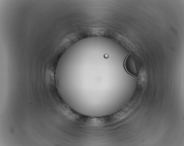 X0000111590522200907231217