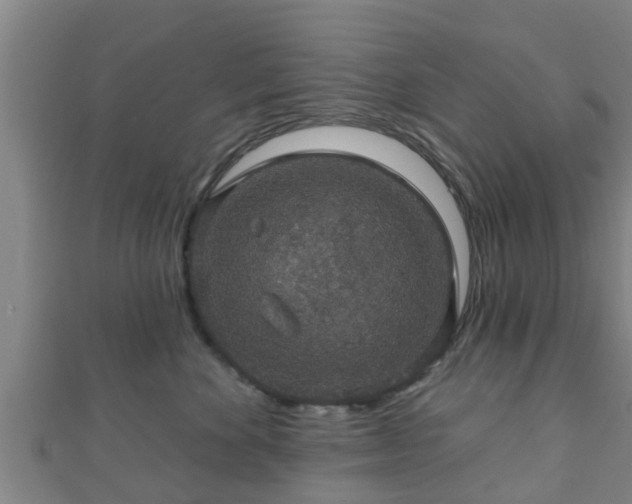 X0000111590524200907231217