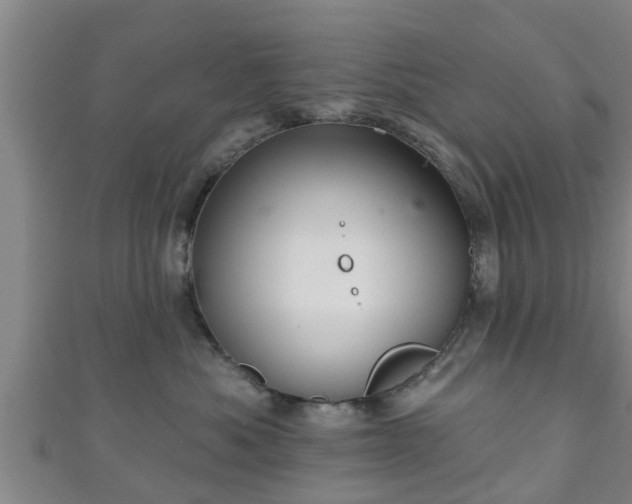 X0000111590525200907231217