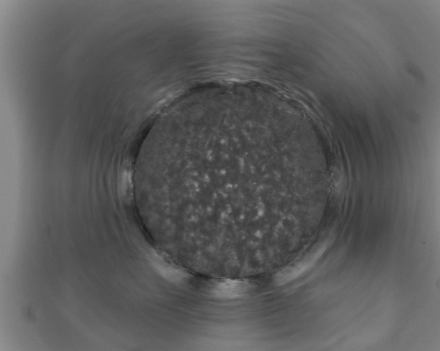 X0000111590527200907231217