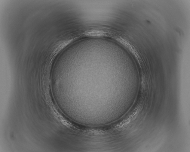 X0000111590529200907231216