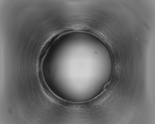 X0000111590530200907231216