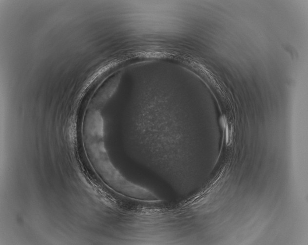 X0000111590531200907231216