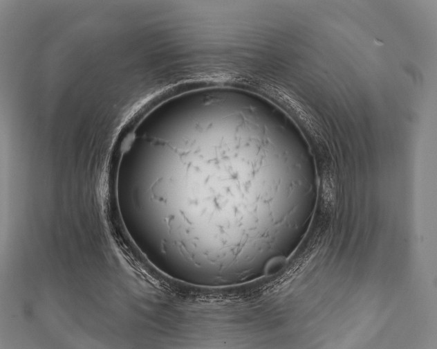 X0000111590532200907231216