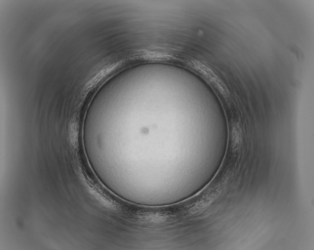 X0000111590533200907231216