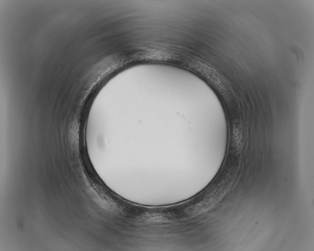 X0000111590534200907231216