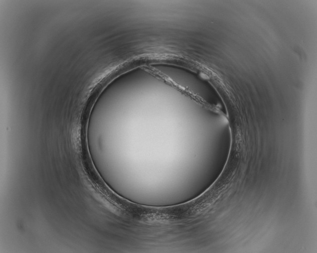 X0000111590535200907231216