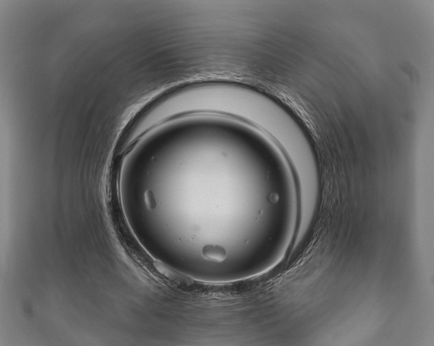 X0000111590536200907231216