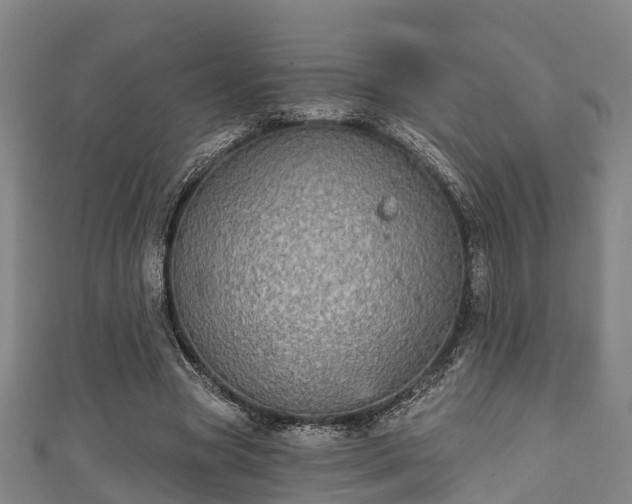 X0000111590537200907231216