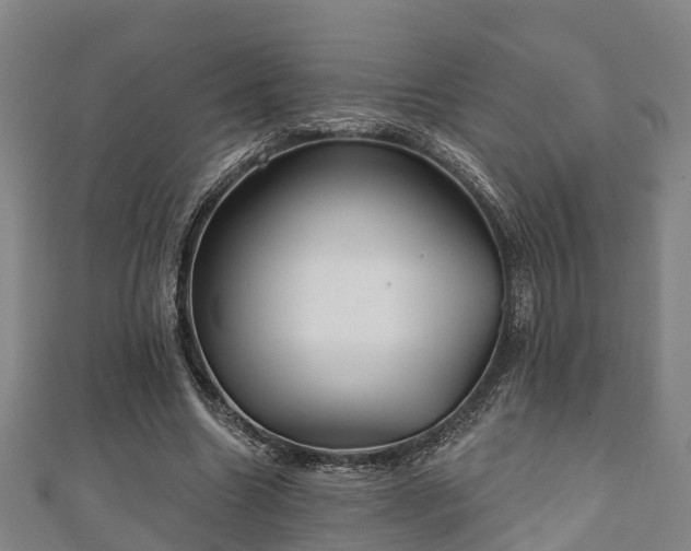 X0000111590538200907231216