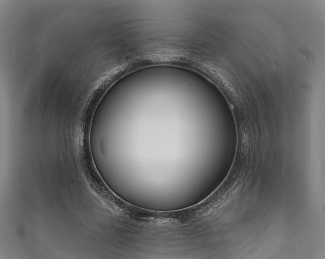 X0000111590539200907231216