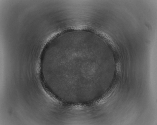 X0000111590540200907231216